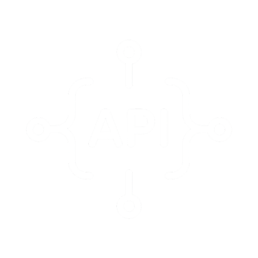 api(1) api(1)